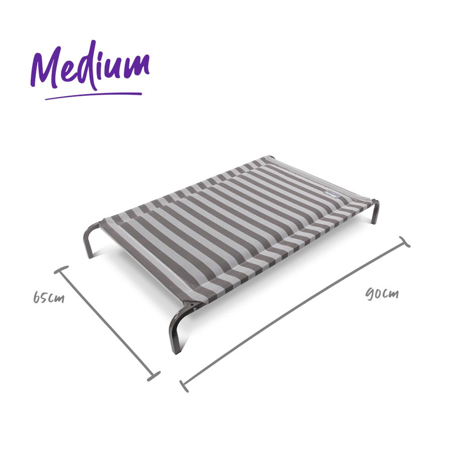 Kazoo Daydream Dog Bed Pillow Top