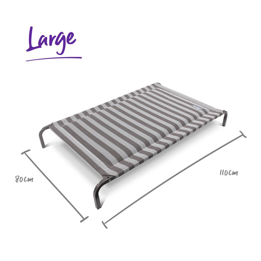 Kazoo Daydream Dog Bed Pillow Top