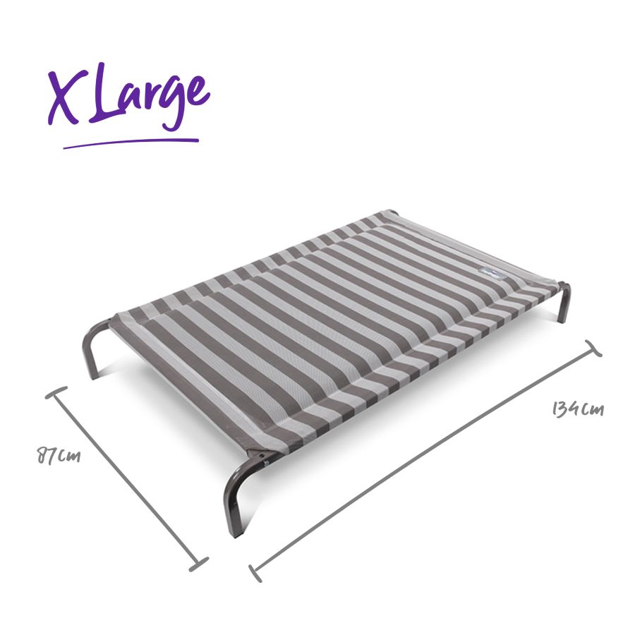 Kazoo Daydream Dog Bed Pillow Top