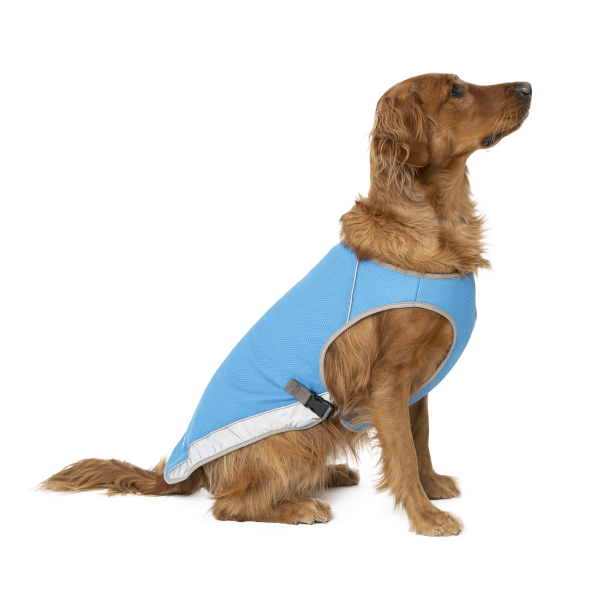 Canada Pooch Chill Seeker Cooling Vest