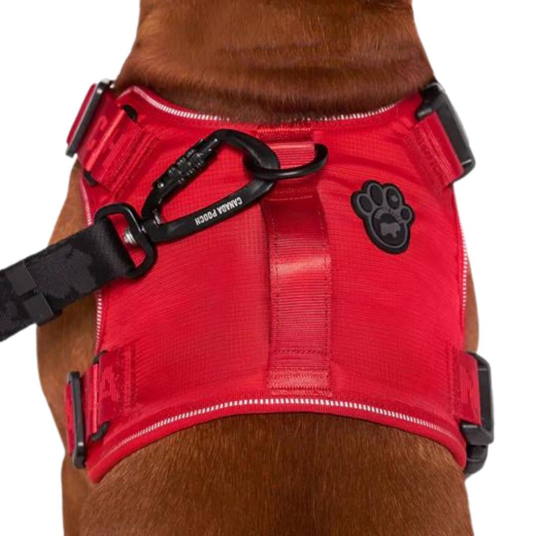 Canada Pooch Dog Complete Control Harness Red Xxlarge