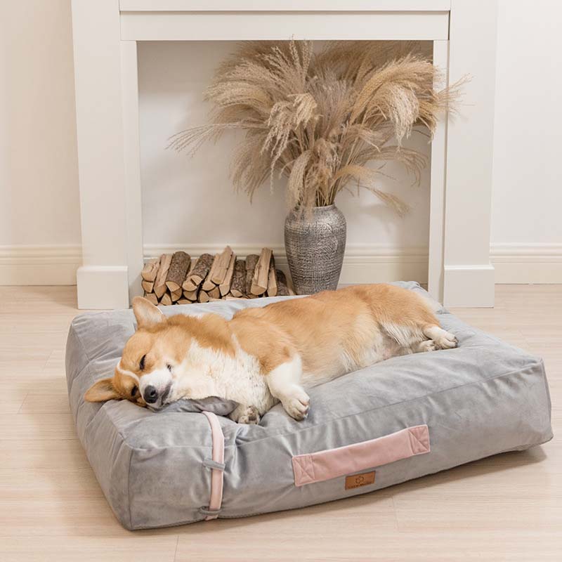 Bow Tie Pillow Ice Silk Velvet Square Cooling Quilted Dog Bed