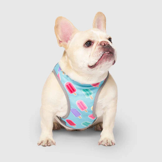 Canada Pooch Chill Seeker Cooling Vest