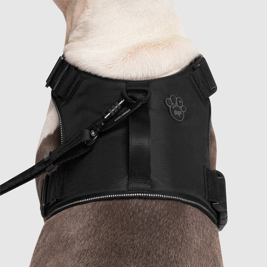 Canada Pooch Core Complete Control Harness