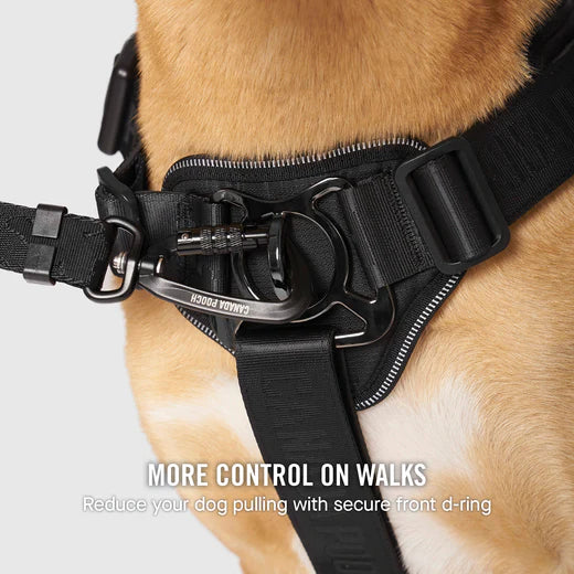 Canada Pooch Core Complete Control Harness