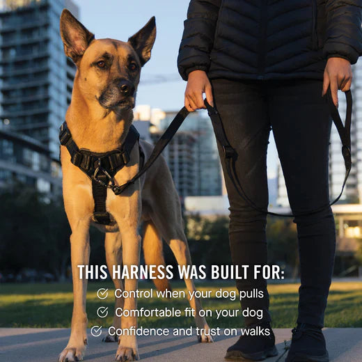 Canada Pooch Core Complete Control Harness