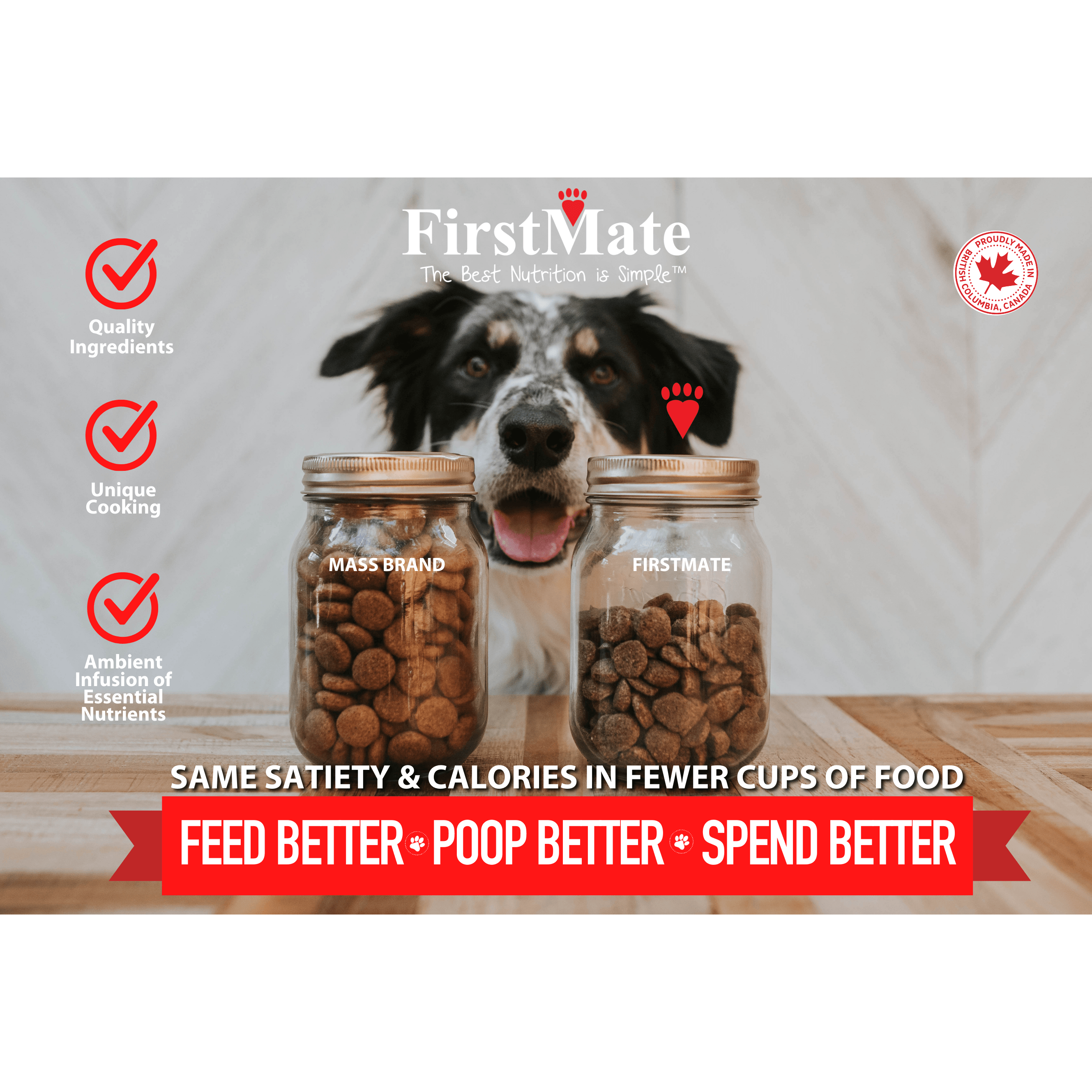 FirstMate Free Range Lamb & Oats Dog Food
