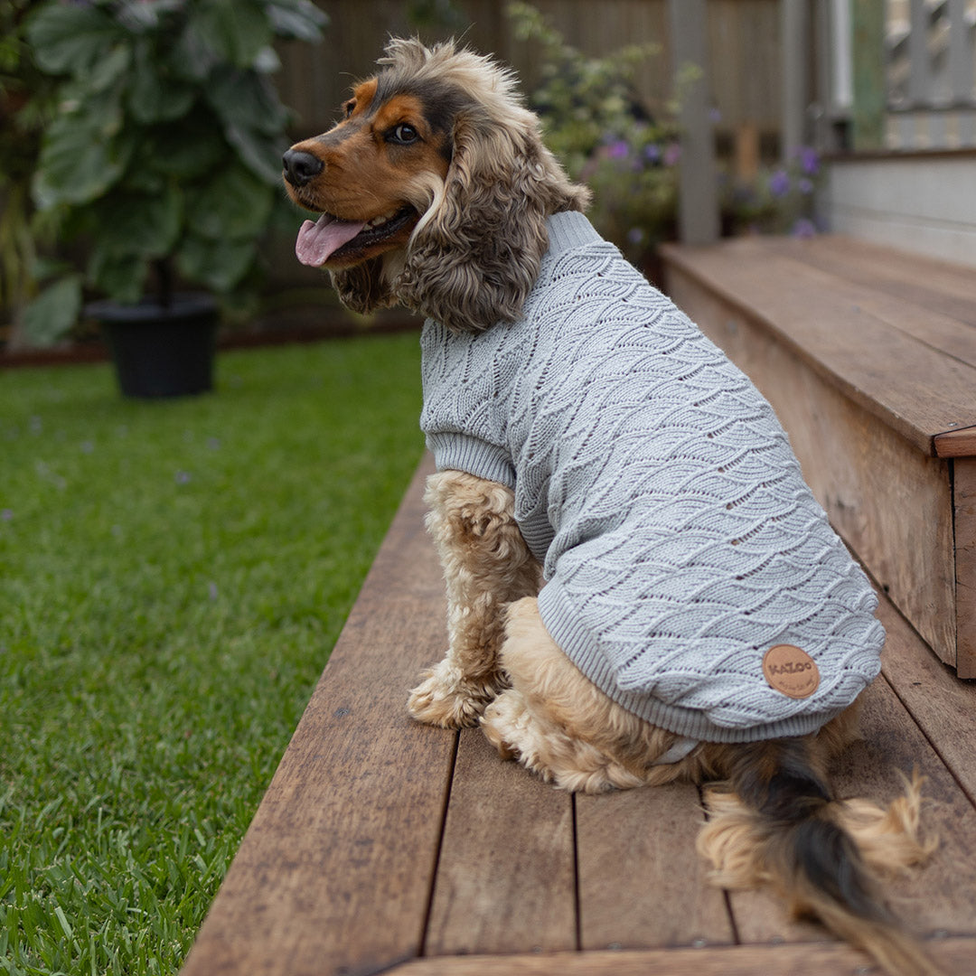 Grey Wave Dog Jumper