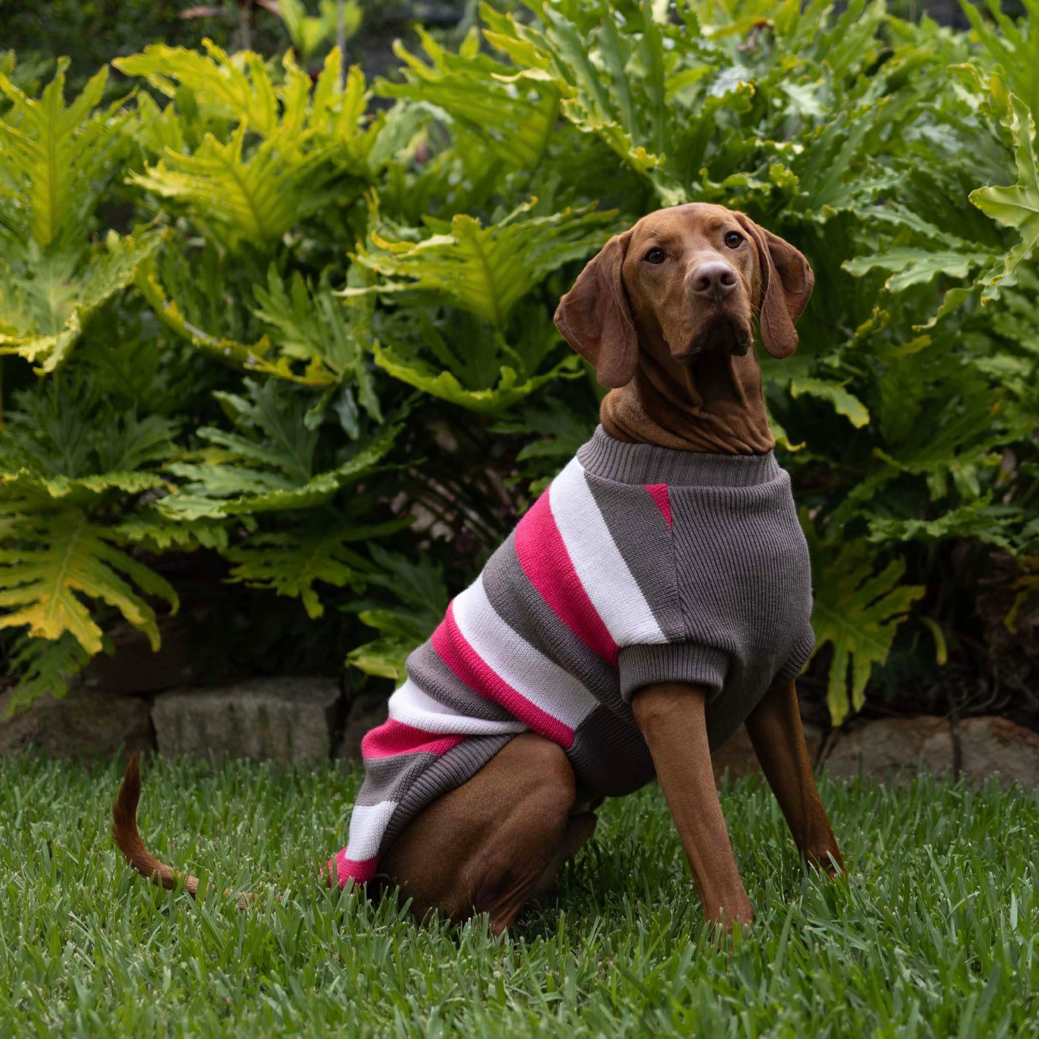 Chestie Dog Jumper - Pink