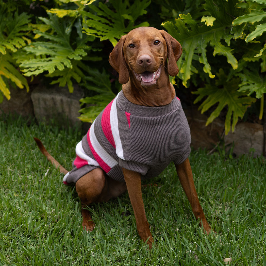 Chestie Dog Jumper - Pink