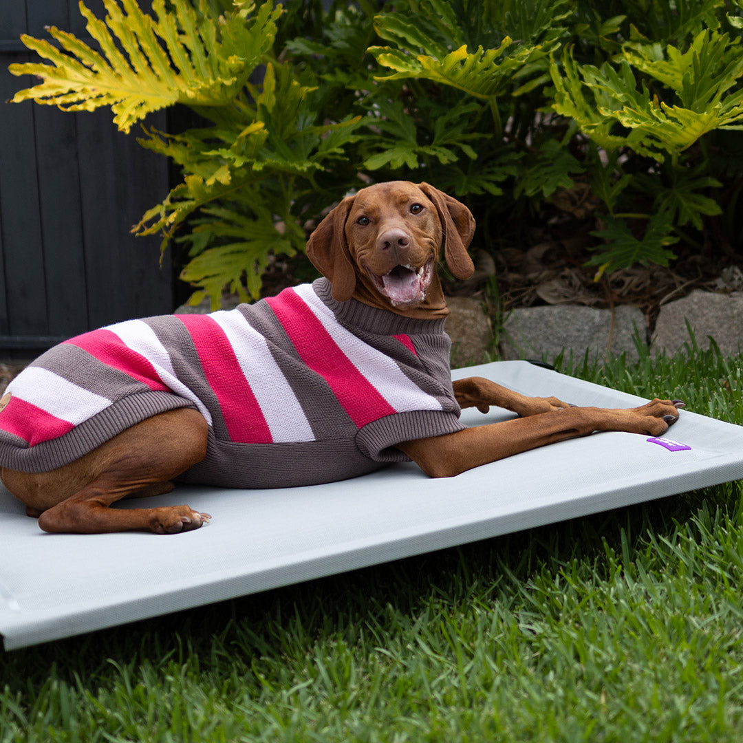 Chestie Dog Jumper - Pink