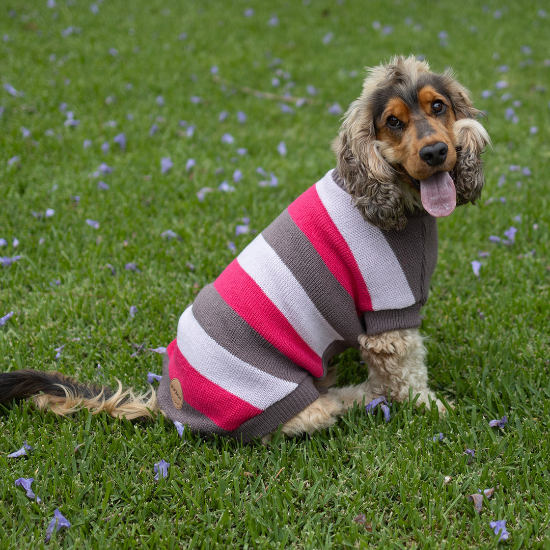Chestie Dog Jumper - Pink