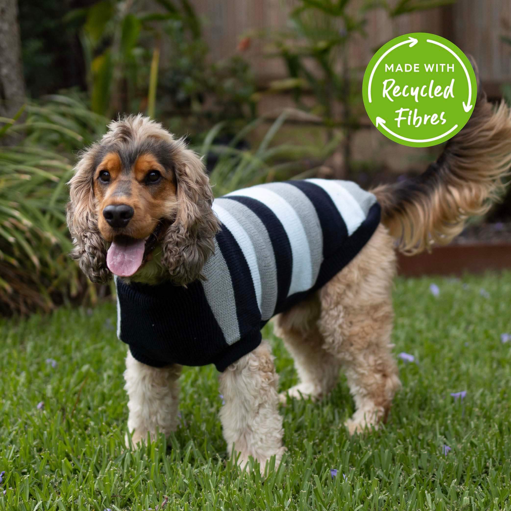 Chestie Dog Jumper - Blue