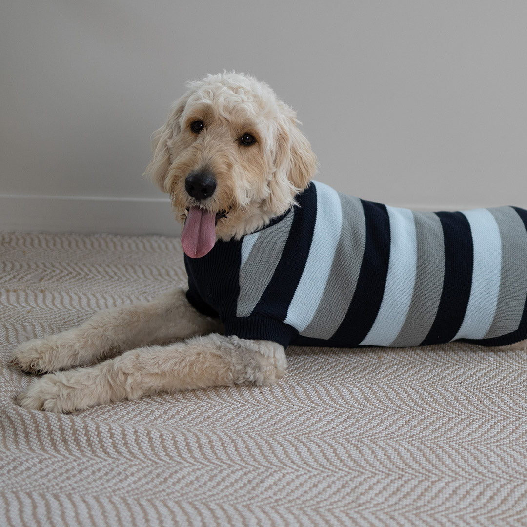 Chestie Dog Jumper - Blue