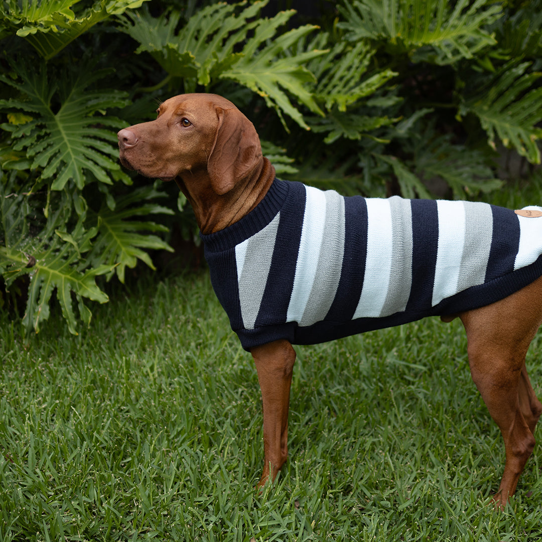 Chestie Dog Jumper - Blue
