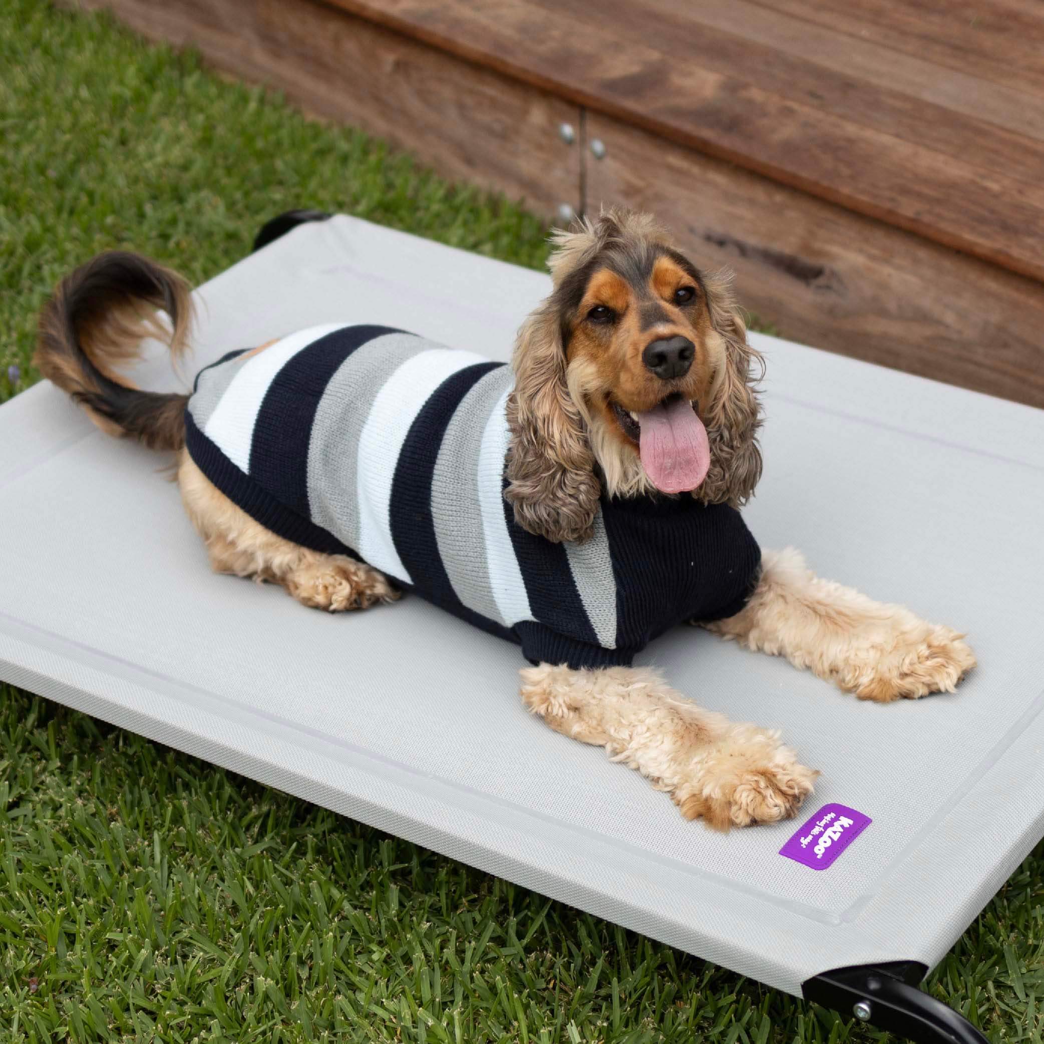 Chestie Dog Jumper - Blue