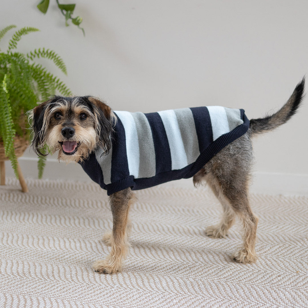Chestie Dog Jumper - Blue