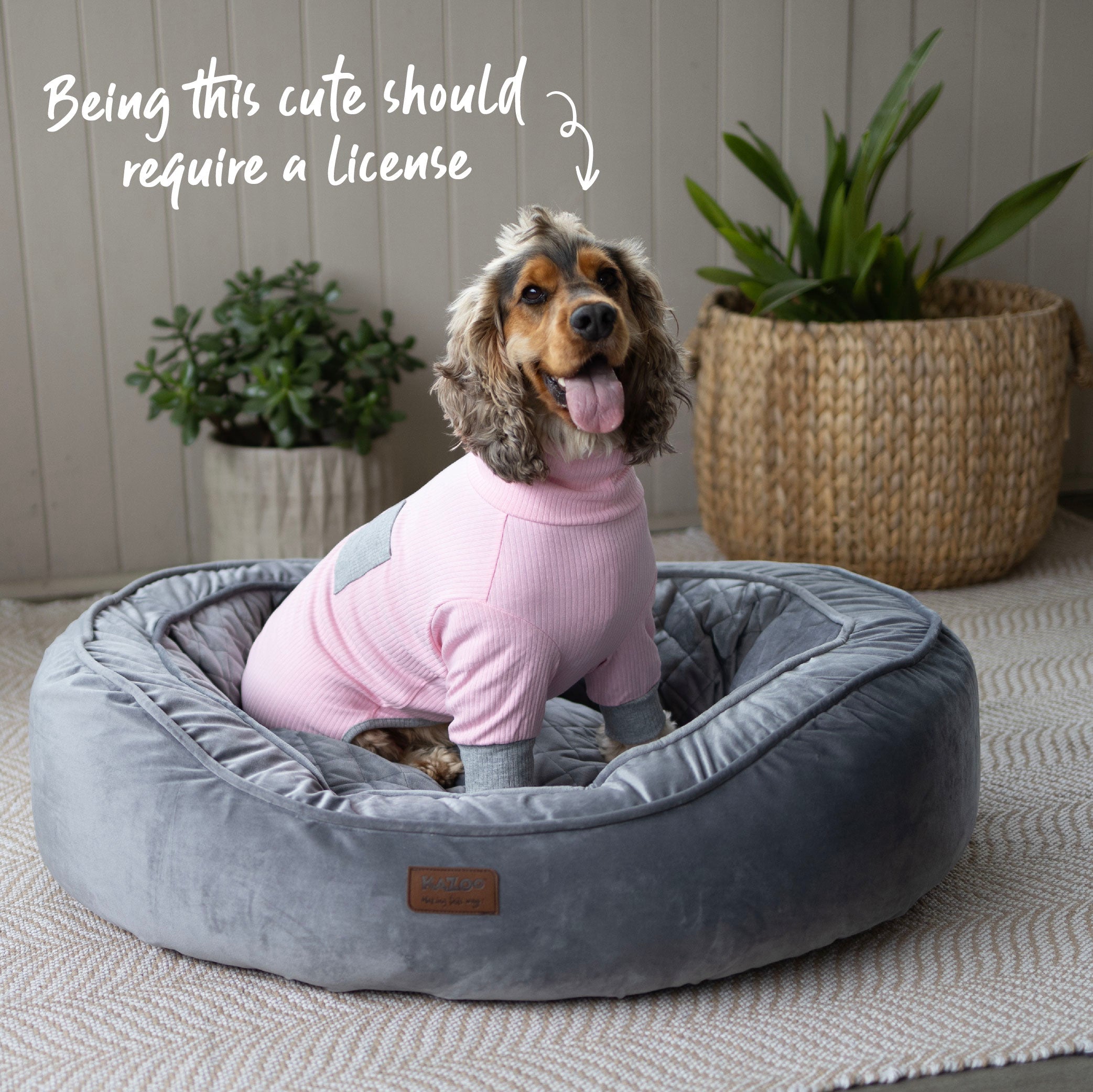 Long John Dog Pyjamas - Pink