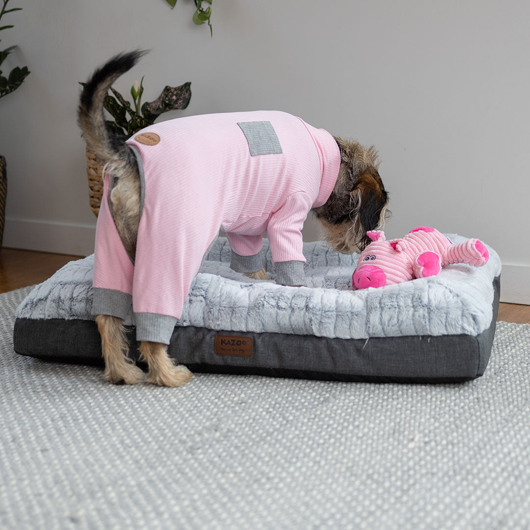 Long John Dog Pyjamas - Pink
