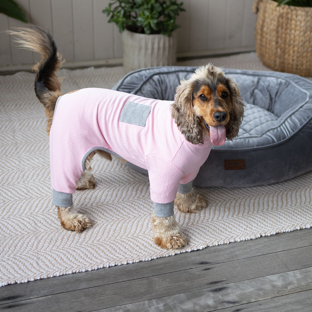 Long John Dog Pyjamas - Pink