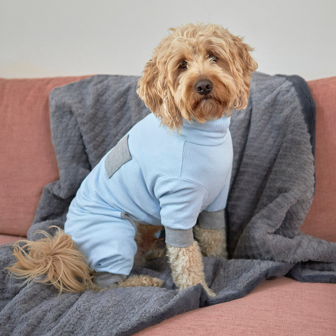 Long John Dog Pyjamas - Blue