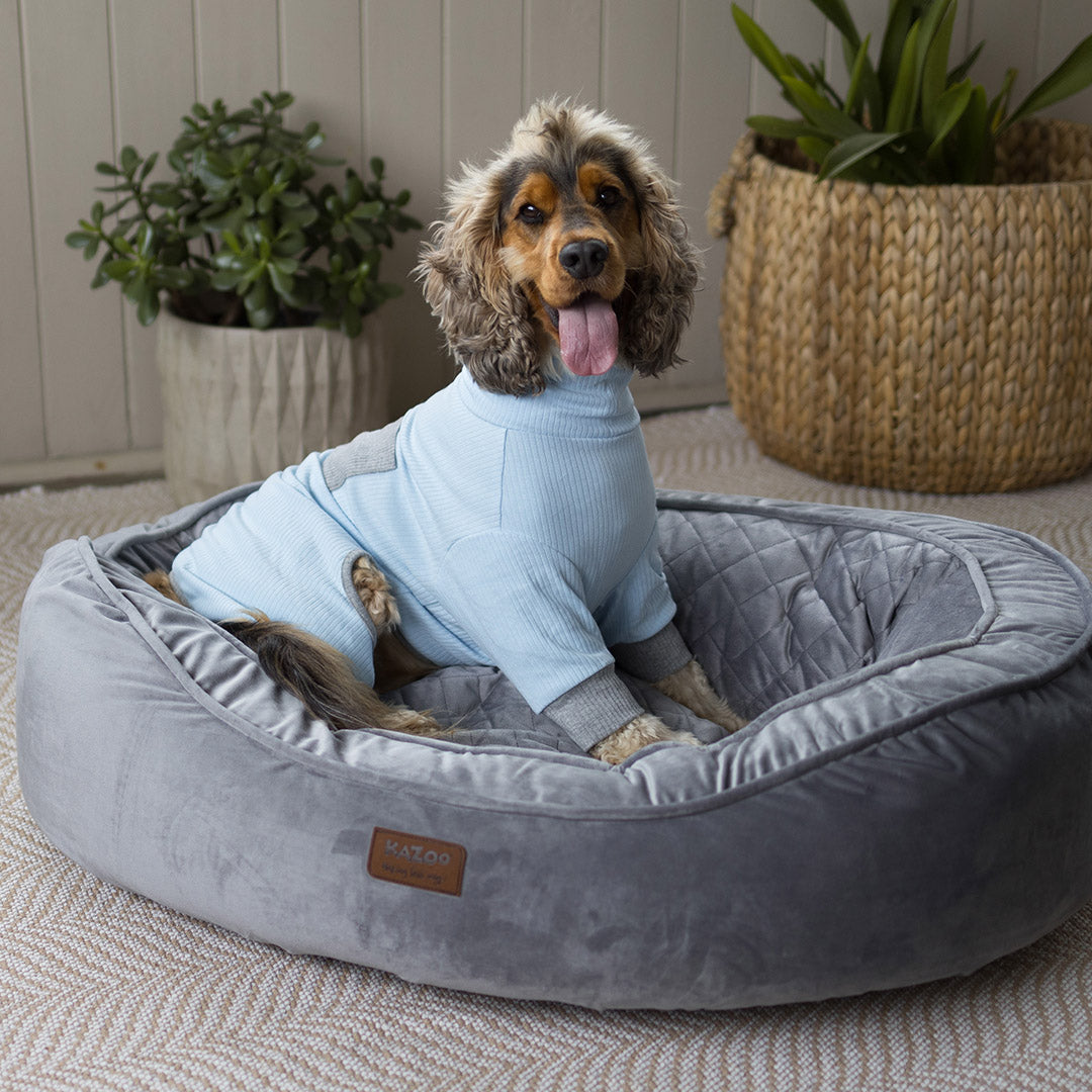 Long John Dog Pyjamas - Blue