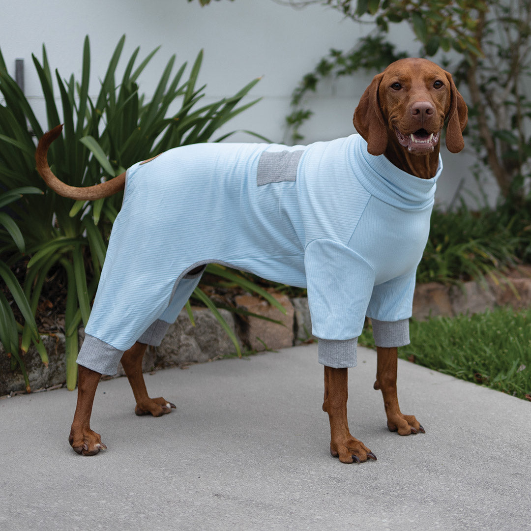 Long John Dog Pyjamas - Blue