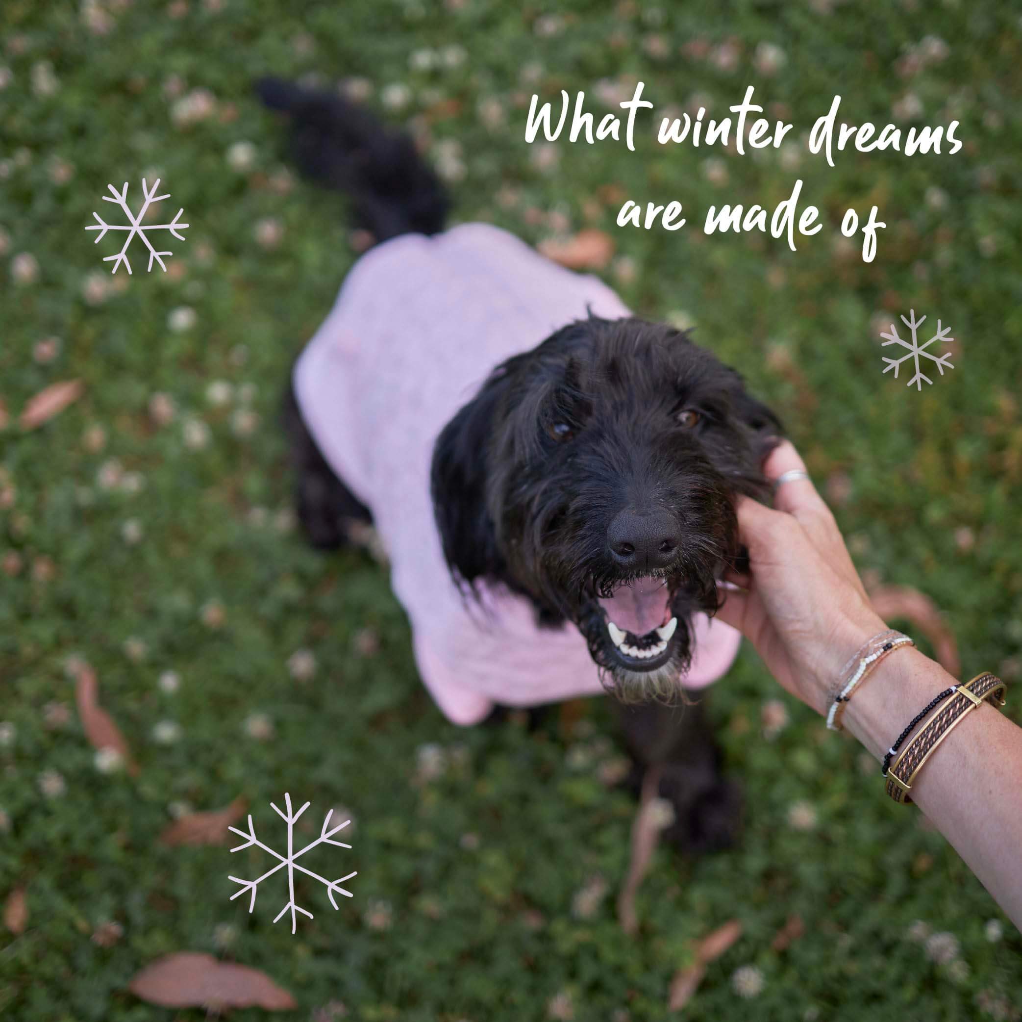 Flower Dog Jacket - Pink