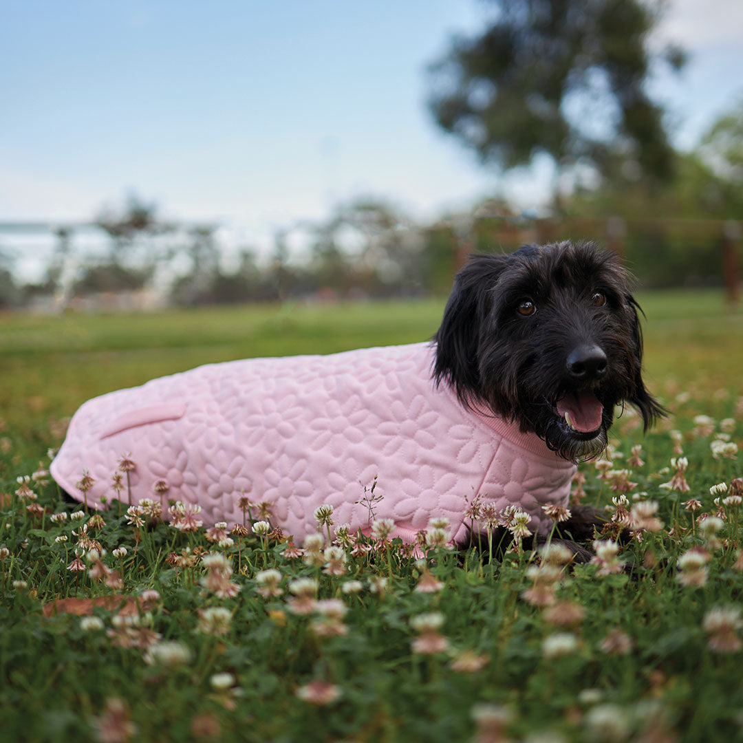 Flower Dog Jacket - Pink