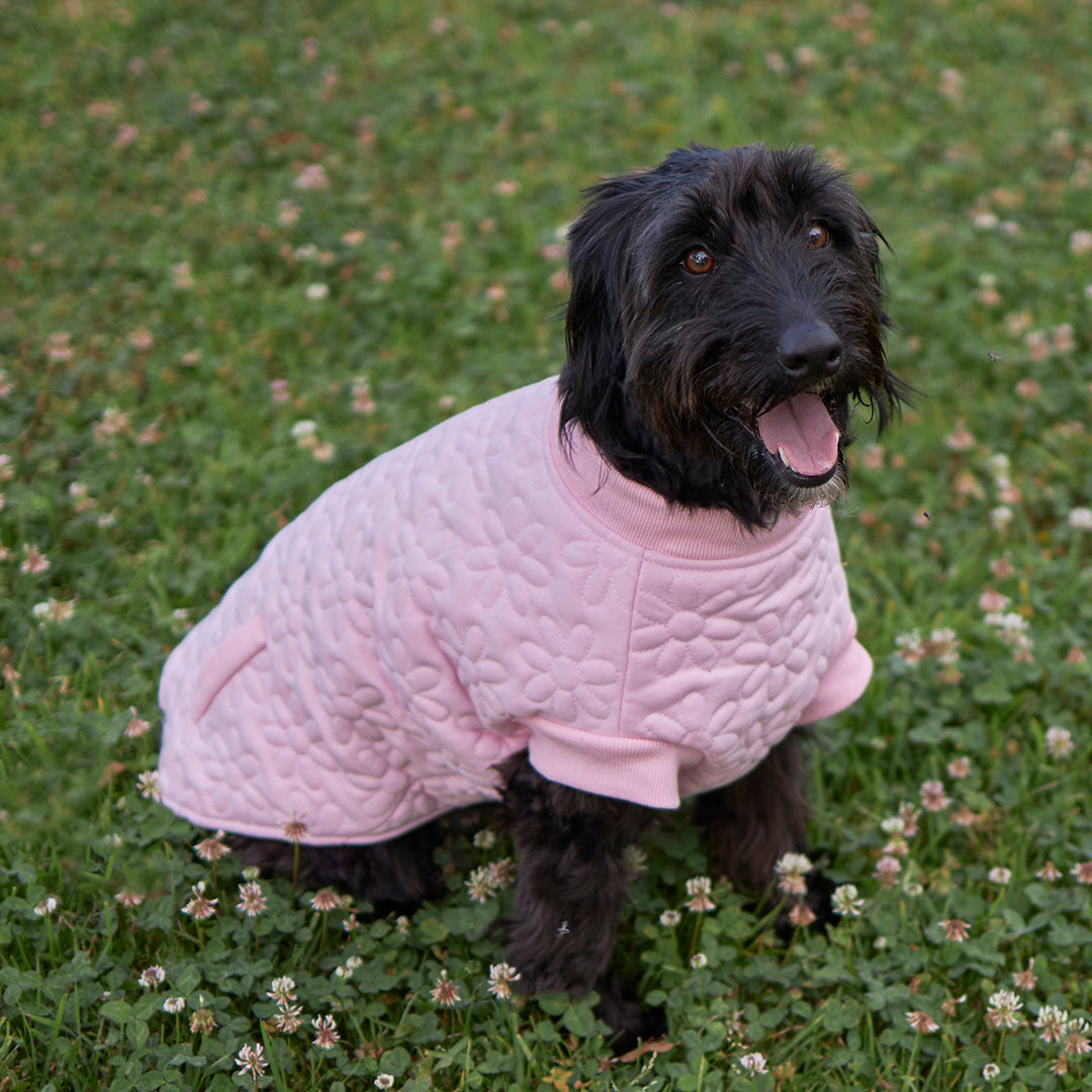 Flower Dog Jacket - Pink