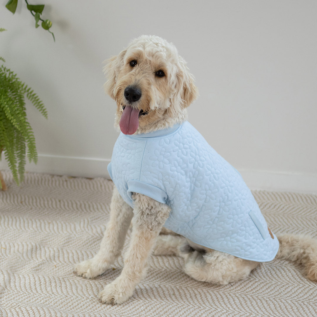 Flower Dog Jacket - Blue
