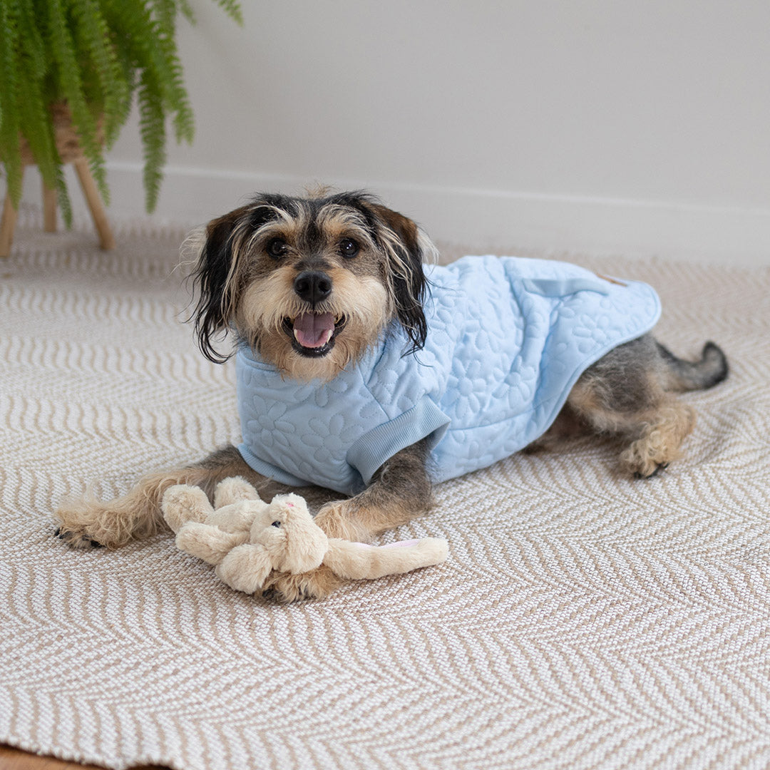 Flower Dog Jacket - Blue