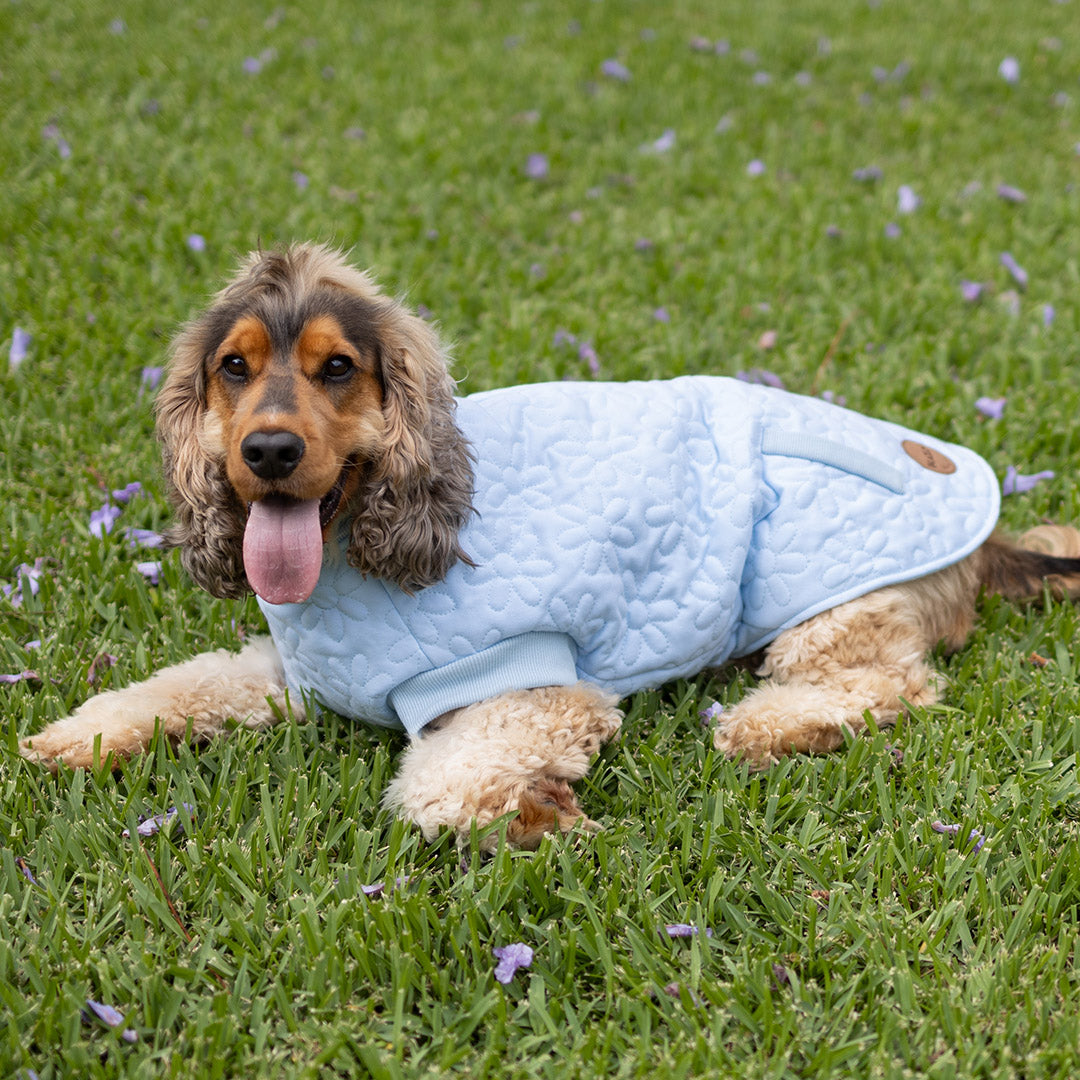 Flower Dog Jacket - Blue