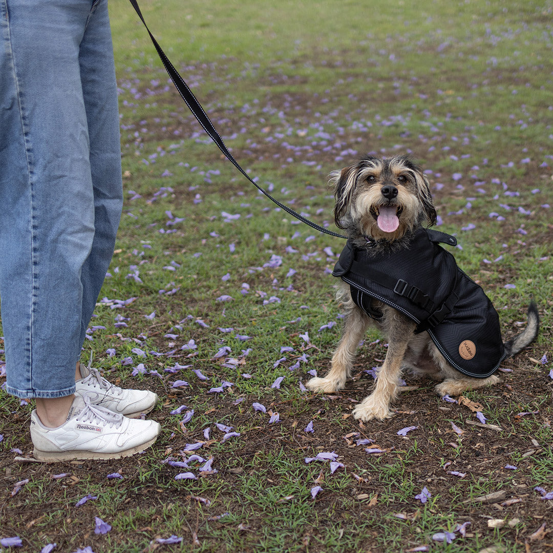 Adventure Dog Coat with Harness Hatch - Black