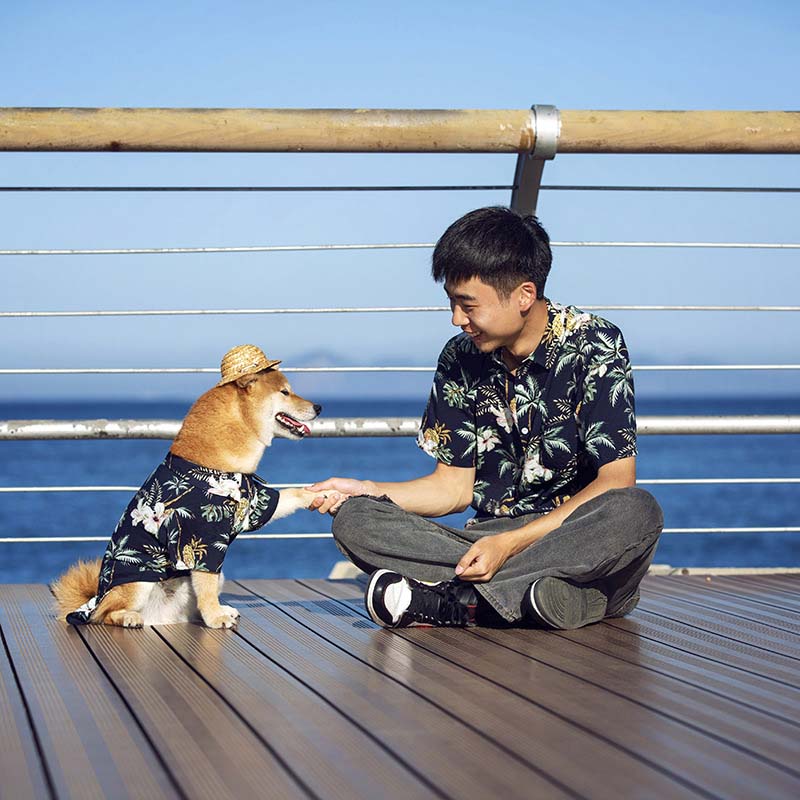Hawaiian Matching Shirt For Dog and Owner Clothes