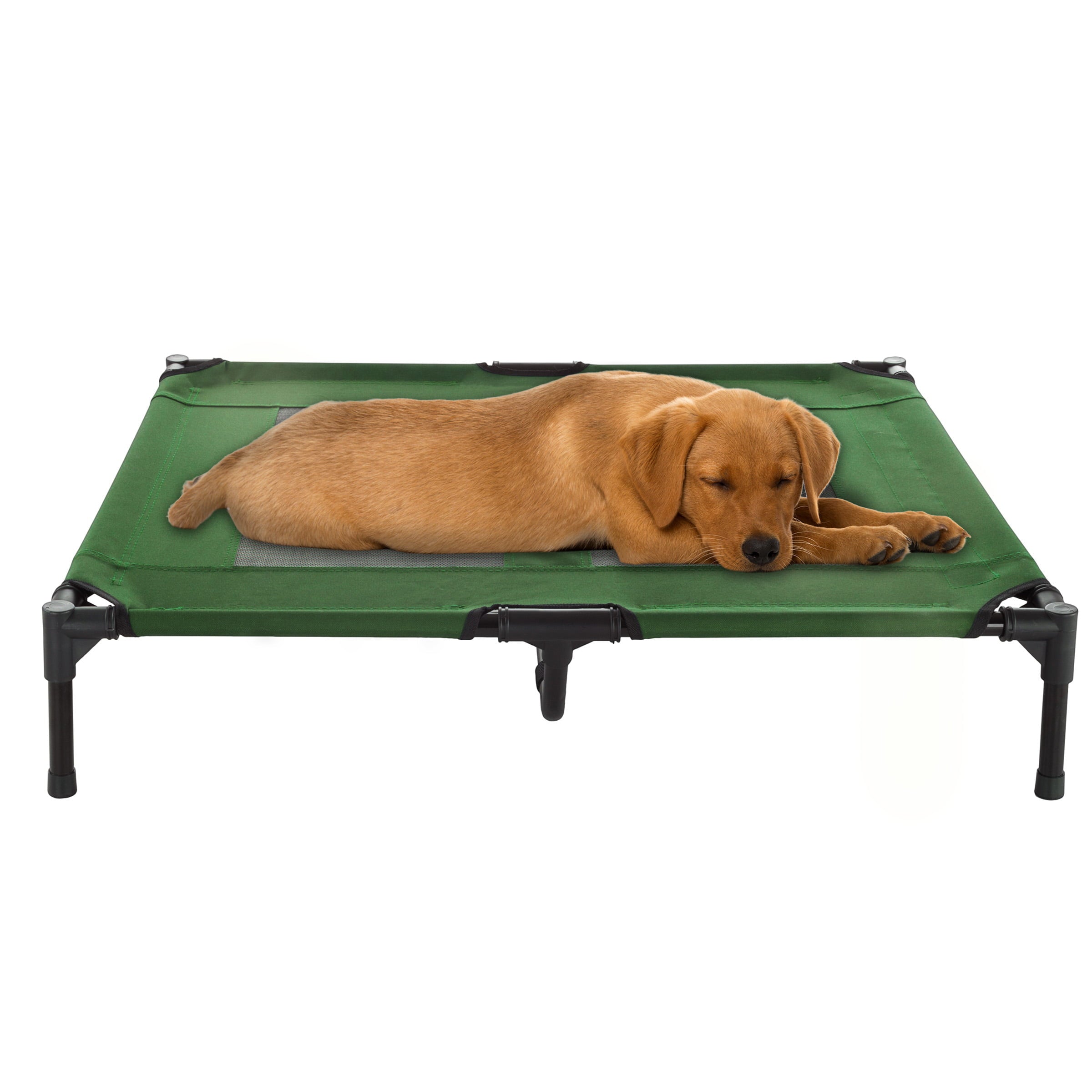 36" x 29" Large Dog Bed Raised Elevated Cot & Travel Case, Green