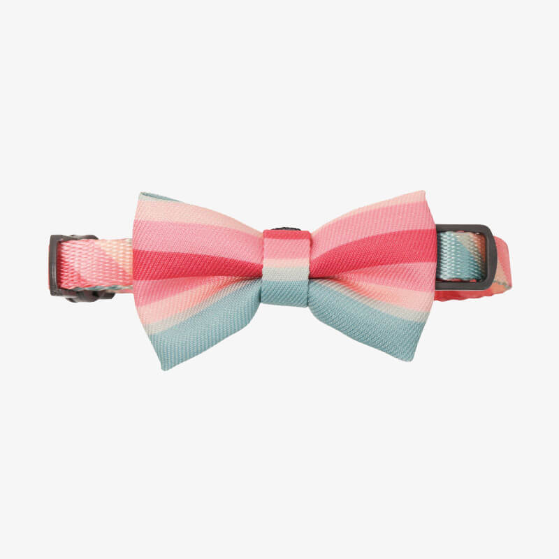 Colourful Series Funny Bow Tie Cat Tunnel Collar