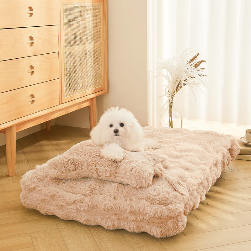 Cozy Fluffy Plush Calming Dog Bed with Pillow