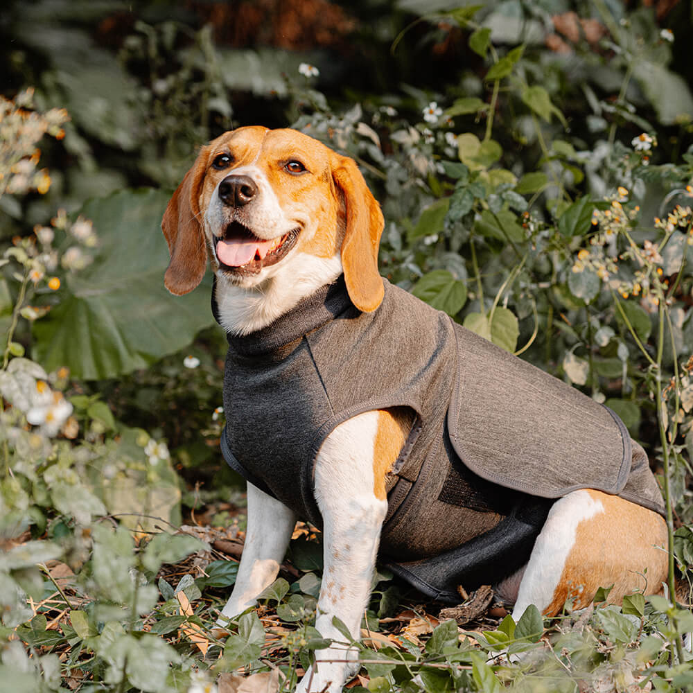 Dog Anxiety Jacket Keep Calming Breathable Soft Vest