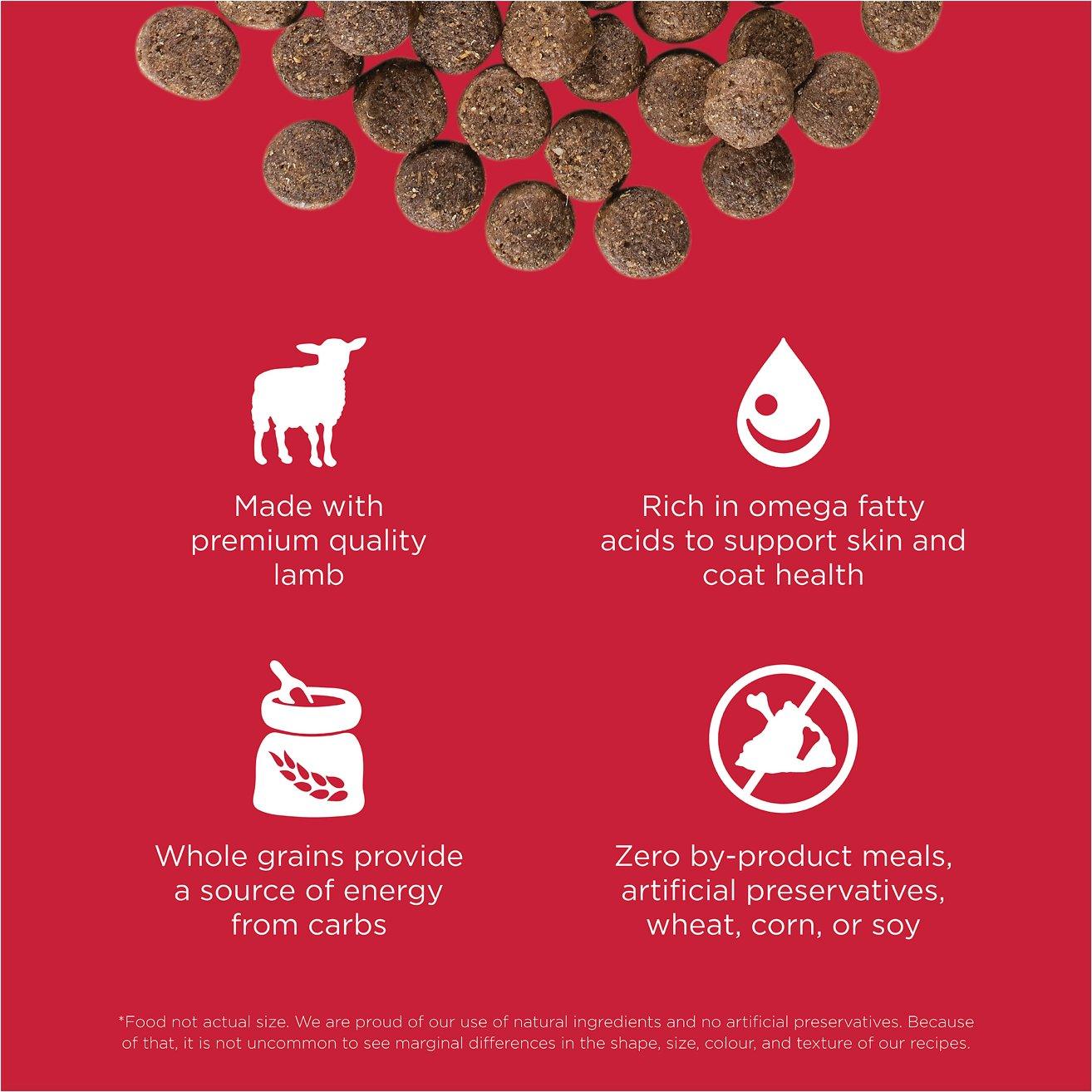 GO! SKIN + COAT CARE Lamb Recipe for dogs